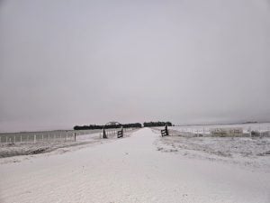 (videos) La primera nevada del invierno. De Tres Arroyos a todo el país las imágenes de LU24 por TN