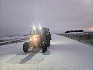 (videos) La primera nevada del invierno. De Tres Arroyos a todo el país las imágenes de LU24 por TN