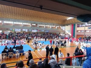 Taekwon-Do ITF: destacadas actuaciones de El Dojang en Santa Fe