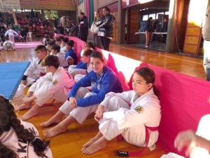 Taekwon-Do ITF: destacadas actuaciones de El Dojang en Santa Fe