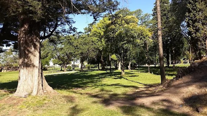 El Municipio acompaña la investigación por una poda irregular en el Parque Miedan