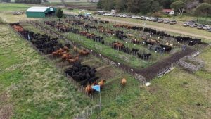 Exitoso Día de Campo en “La Torcacita” de Piray Miní