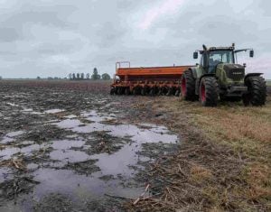 (audio) El mal clima retrasa el final de la cosecha gruesa y la siembra de fina