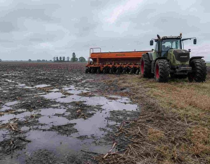 (audio) El mal clima retrasa el final de la cosecha gruesa y la siembra de fina