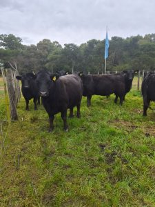 Todo listo para el Día de Campo en La Torcacita