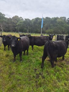 Todo listo para el Día de Campo en La Torcacita