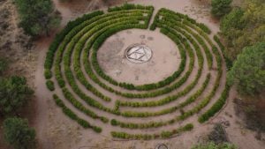 Avanza la recuperación y puesta en valor del Laberinto Vegetal en Monte Hermoso
