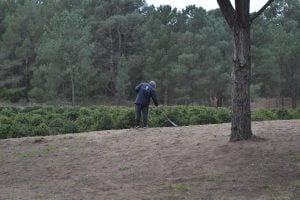 Avanza la recuperación y puesta en valor del Laberinto Vegetal en Monte Hermoso