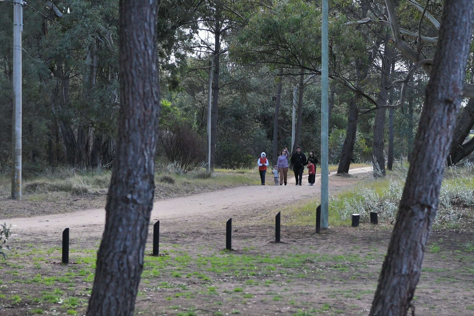 Avanza la recuperación y puesta en valor del Laberinto Vegetal en Monte Hermoso