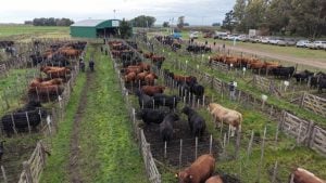 Exitoso Día de Campo en “La Torcacita” de Piray Miní